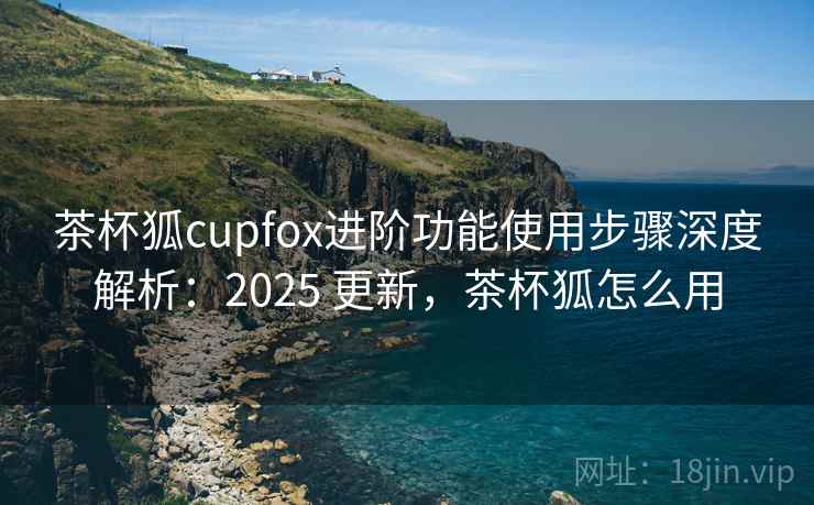 茶杯狐cupfox进阶功能使用步骤深度解析：2025 更新，茶杯狐怎么用