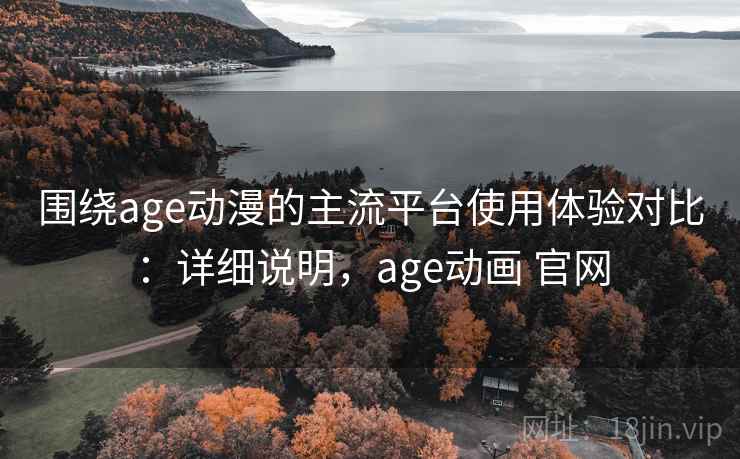 围绕age动漫的主流平台使用体验对比：详细说明，age动画 官网