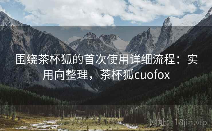 围绕茶杯狐的首次使用详细流程：实用向整理，茶杯狐cuofox