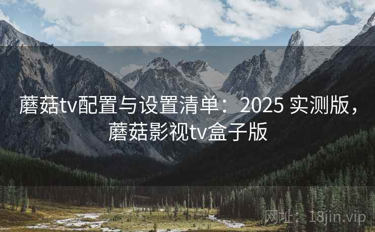 蘑菇tv配置与设置清单：2025 实测版，蘑菇影视tv盒子版