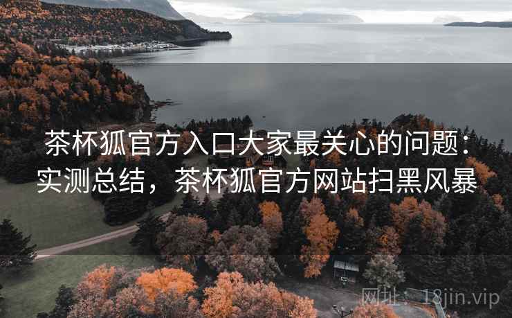 茶杯狐官方入口大家最关心的问题：实测总结，茶杯狐官方网站扫黑风暴